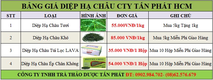 Mua bán diệp hạ châu tại Huyện Gia Lâm